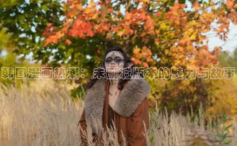 风车漫画官方网页版入口